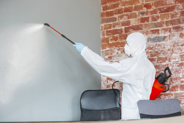 Best Airborne Mold Testing  in Bonadelle Ranchos, CA