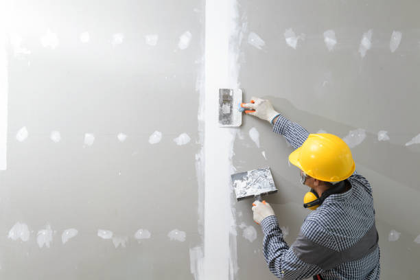 Best Emergency Mold Remediation  in Bonadelle Ranchos, CA