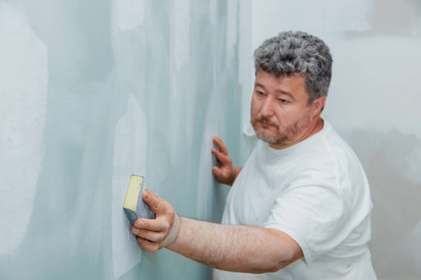  Bonadelle Ranchos, CA Mold Removal Pros