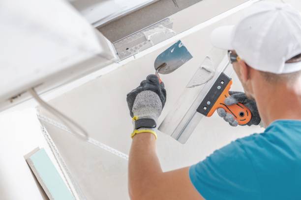 Best Mold Damage Restoration  in Bonadelle Ranchos, CA